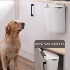 Kitchen Dustbin