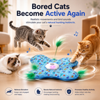 Hide and Seek Automatic Interactive Cat Toy